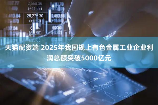 天猫配资端 2025年我国规上有色金属工业企业利润总额突破5000亿元
