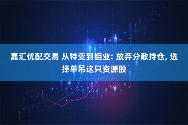 嘉汇优配交易 从特变到钼业: 放弃分散持仓, 选择单吊这只资源股