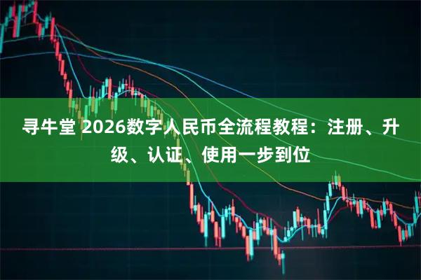 寻牛堂 2026数字人民币全流程教程：注册、升级、认证、使用一步到位