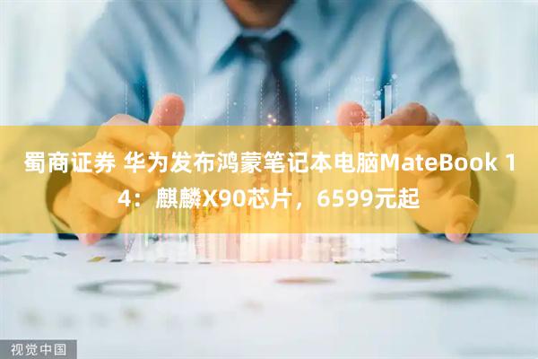 蜀商证券 华为发布鸿蒙笔记本电脑MateBook 14：麒麟X90芯片，6599元起