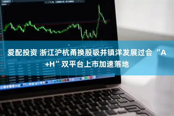 爱配投资 浙江沪杭甬换股吸并镇洋发展过会 “A+H”双平台上市加速落地