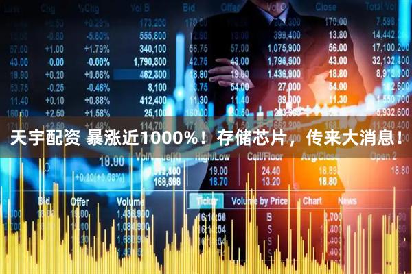 天宇配资 暴涨近1000%！存储芯片，传来大消息！