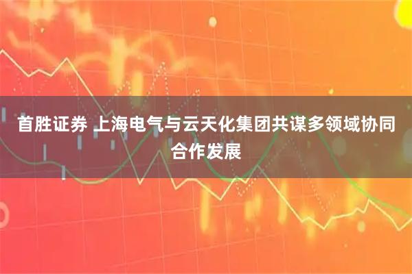 首胜证券 上海电气与云天化集团共谋多领域协同合作发展