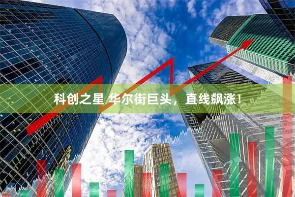 科创之星 华尔街巨头，直线飙涨！