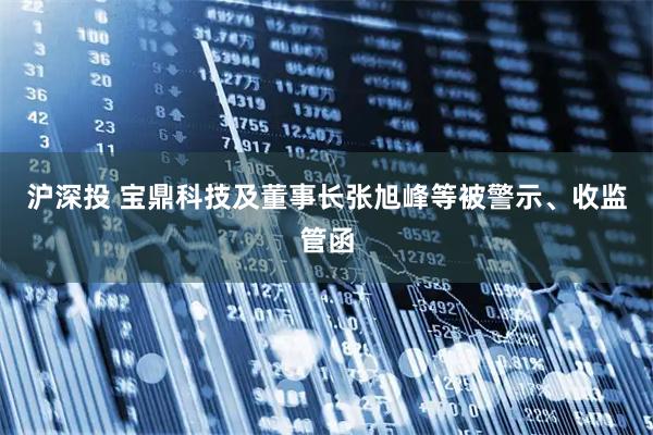 沪深投 宝鼎科技及董事长张旭峰等被警示、收监管函