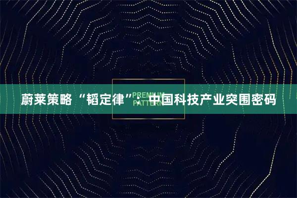 蔚莱策略 “韬定律”：中国科技产业突围密码