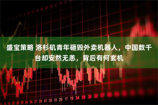 盛宝策略 洛杉矶青年砸毁外卖机器人，中国数千台却安然无恙，背后有何玄机