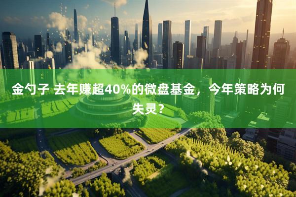 金勺子 去年赚超40%的微盘基金，今年策略为何失灵？