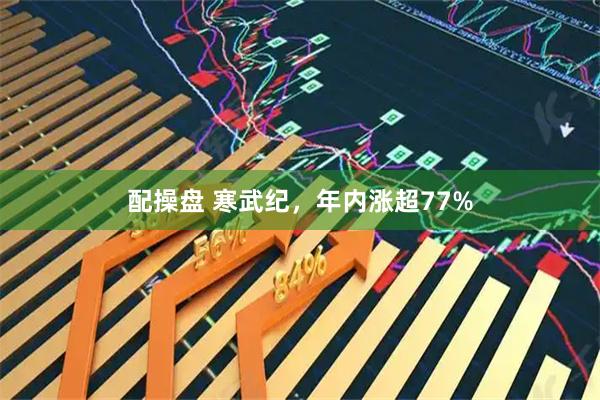 配操盘 寒武纪，年内涨超77%