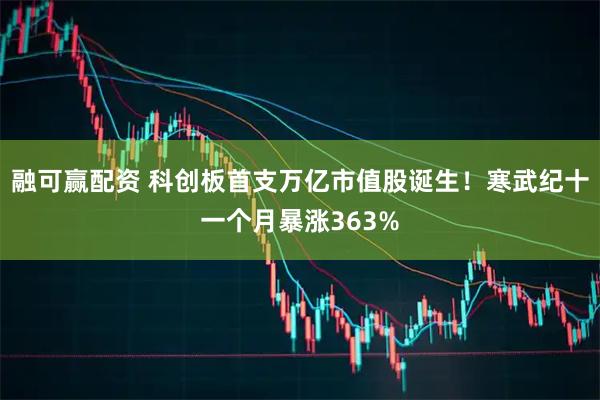 融可赢配资 科创板首支万亿市值股诞生！寒武纪十一个月暴涨363%