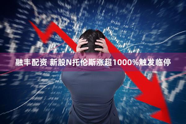融丰配资 新股N托伦斯涨超1000%触发临停