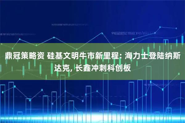 鼎冠策略资 硅基文明牛市新里程: 海力士登陆纳斯达克, 长鑫冲刺科创板