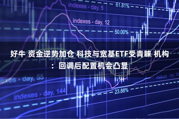 好牛 资金逆势加仓 科技与宽基ETF受青睐 机构：回调后配置机会凸显