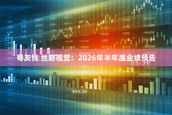 粤友钱 丝路视觉：2026年半年度业绩预告