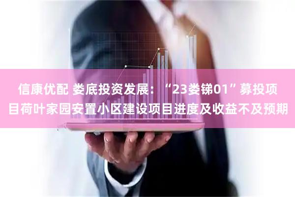 信康优配 娄底投资发展：“23娄锑01”募投项目荷叶家园安置小区建设项目进度及收益不及预期