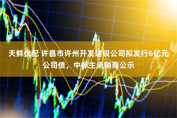 天鲜优配 许昌市许州开发建设公司拟发行6亿元公司债，中标主承销商公示