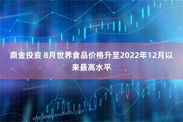 鼎金投资 8月世界食品价格升至2022年12月以来最高水平